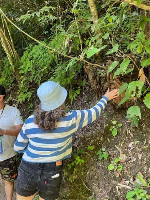 Huatulco: Waterfalls Tour with Buffet Lunch - Who Should Consider This Tour?