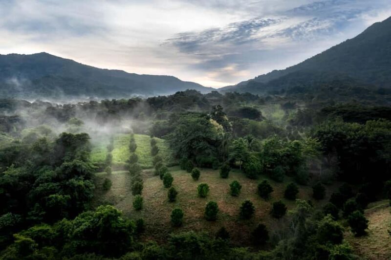 Huatulco: Zipline adventure, exotic gardens, and a viewpoint - Why This Tour Works