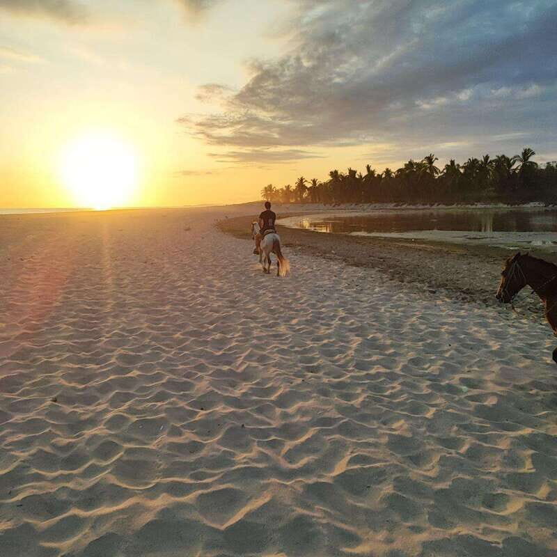 Huatulco:Turtle release,horseback riding and bioluminescence - Experience Huatulco’s Coast in a Day: Turtle Release, Horseback Riding, and Bioluminescence