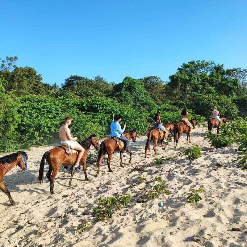 Huatulco:Turtle release,horseback riding and bioluminescence - The Practical Side: What to Know Before You Book