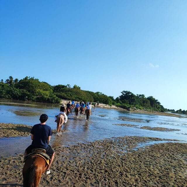 Huatulco:Turtle release,horseback riding and bioluminescence - FAQ