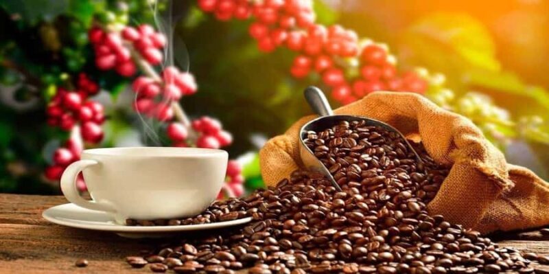 Huayopata Coffee or Cocoa 2-Day Private Tour - FAQ