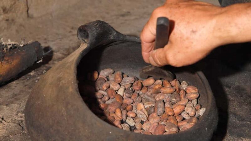 Huayopata | Prívate Chocolate Tour - The Sum Up