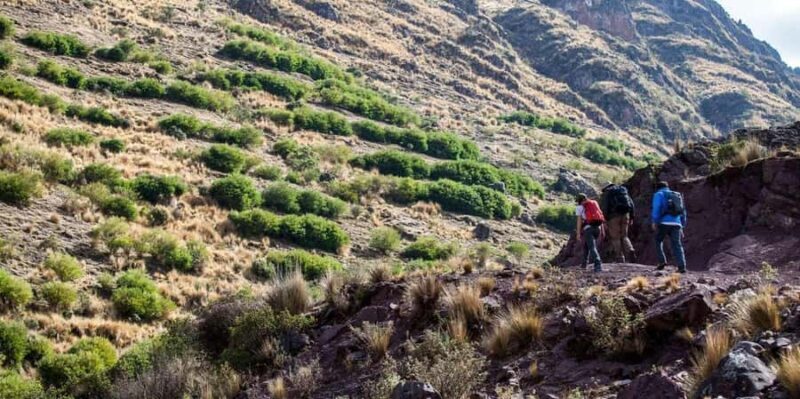 Huchuy Qosqo Trek - Huchuy Qosqo Trek: An Authentic Inca Adventure from Cusco