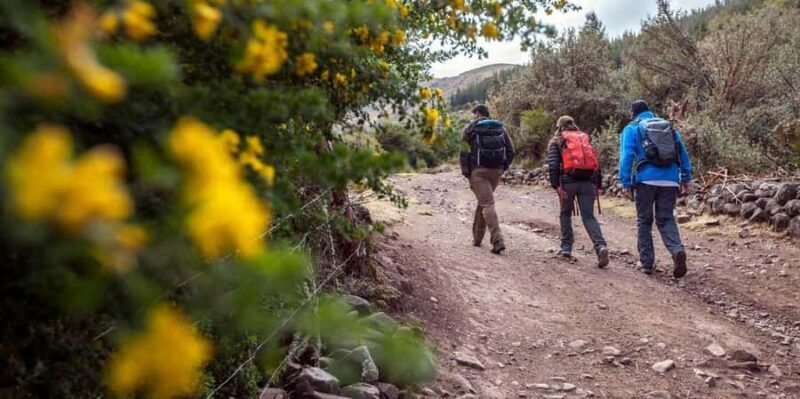 Huchuy Qosqo Trek - Who Will Love This Tour?