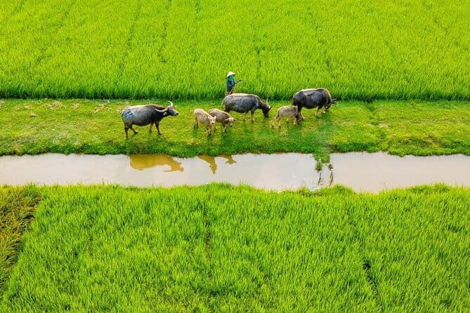 Hue Countryside Private Motorbike Tour and Crafts Experience - Final Thoughts