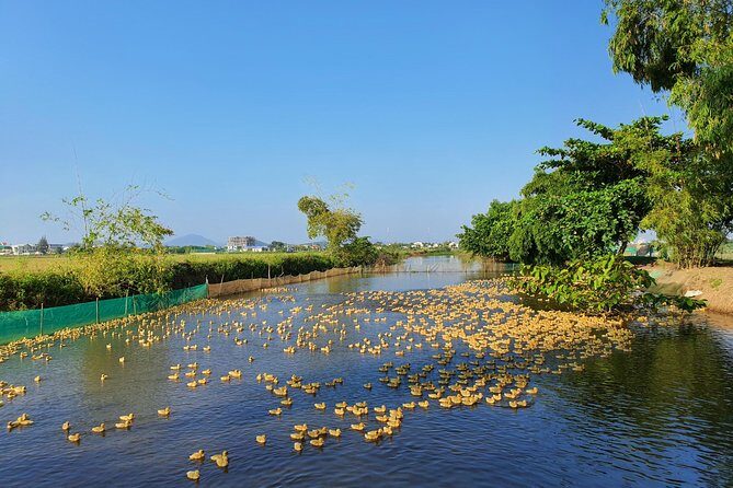 Hue Half-Day Private Tour: Thanh Toan village & Imperial Citadel - In-Depth Review of the Hue Half-Day Private Tour