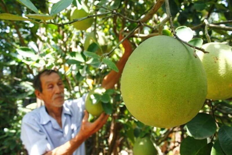 Hue: Half-day Thuy Bieu Village Cycling Adventure - Final thoughts