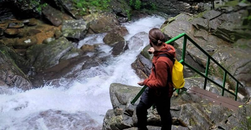 Hue to Da Nang/Hoi An via Bach Ma Trekking - Practical Tips for Enjoying Your Day