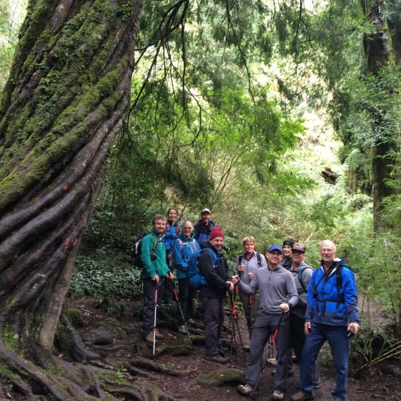 Huerquehue National Park full day - Huerquehue National Park Full Day Tour Review