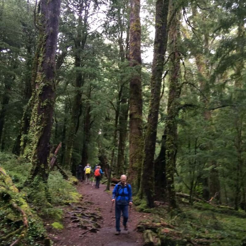 Huerquehue National Park full day - Key Points