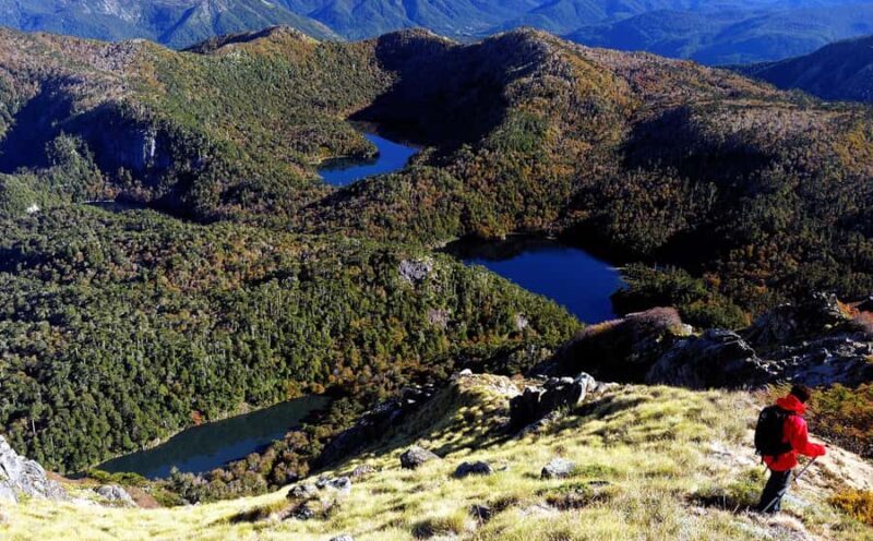 Huerquehue National Park full day - Who Should Consider This Tour?