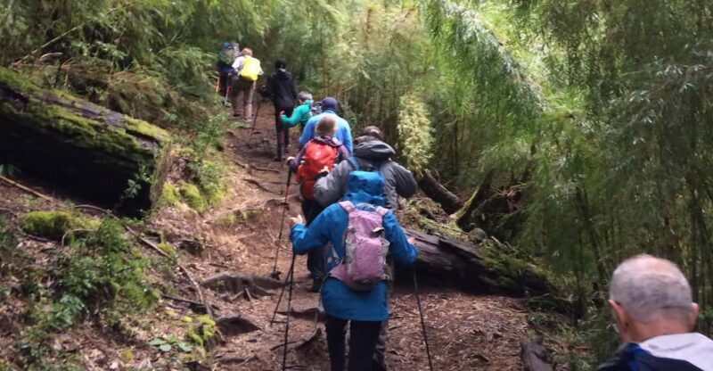 Huerquehue National Park full day - References