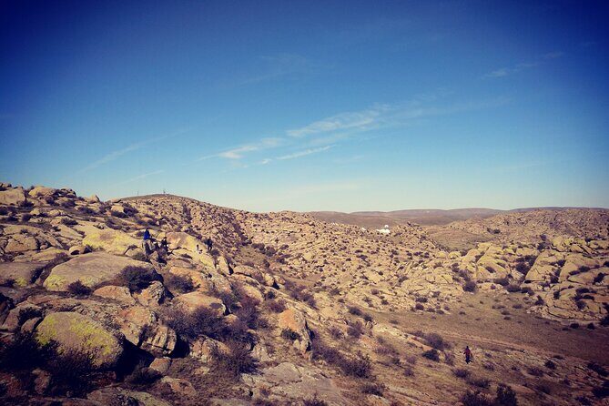 Huhhot 4D3N Inner Mongolia Grassland and desert nature tours - In-Depth Look at the Inner Mongolia Experience