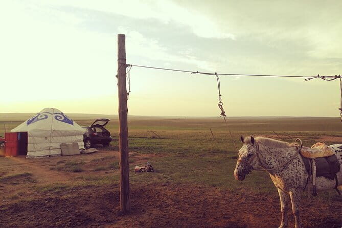 Huhhot Inner Mongolia 3 Days Xilamuren kubuqi Desert Nature Tour - Final Thoughts: Who Should Consider This Tour?