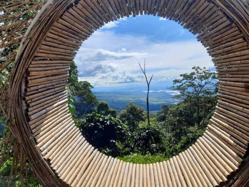 HUILA VIEWPOINTS MANO DEL GIGANTE - What the Reviews Say