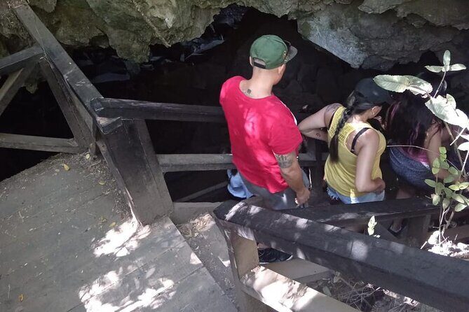 Huilo Huilo Reserve Tour from Valdivia with Lunch - Transportation, Group Size, and Overall Value