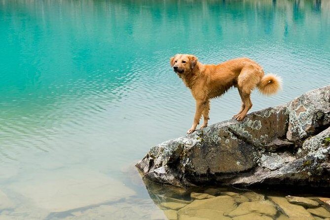 Humantay Lake Hike: 1 Full Day - Experience the Magic of Humantay Lake: A Full-Day Guided Hike