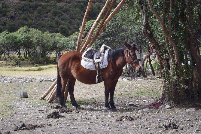 Humantay lake treck 1 day - Price and Value Analysis