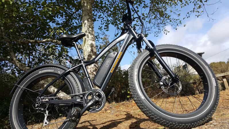 Humboldt: Electric Bike Rentals (4-Hour or Full Day options) - Exploring Humboldt on Electric Bikes: The Practical Details