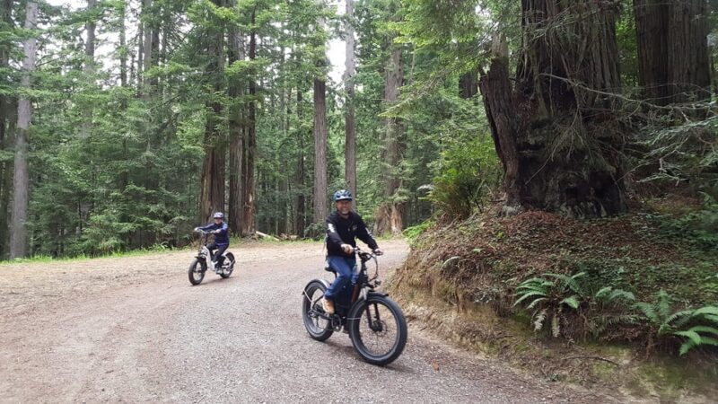 Humboldt: Electric Bike Rentals (4-Hour or Full Day options) - Who This Experience Is Best For