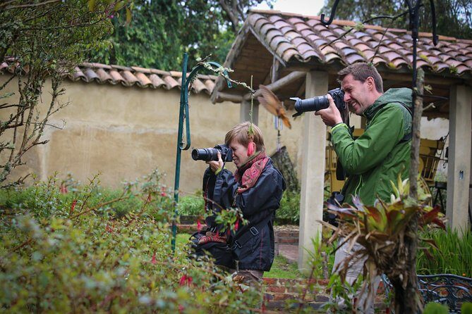 Hummingbird Observatory Encounter - A Deep Dive into the Hummingbird Observatory Encounter