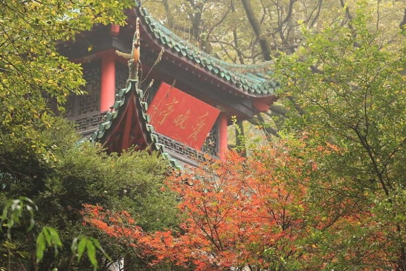 Hunan 1-Day Tour: Hunan Museum, Orange Isle, Yuelu Academy - Final Thoughts: Is it Worth It?