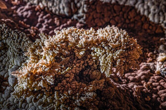 Hung Thoong cave | Stalactites, Underground River Phong Nha |3D2N - A Deep Dive into the 3-Day Hung Thoong Cave Tour