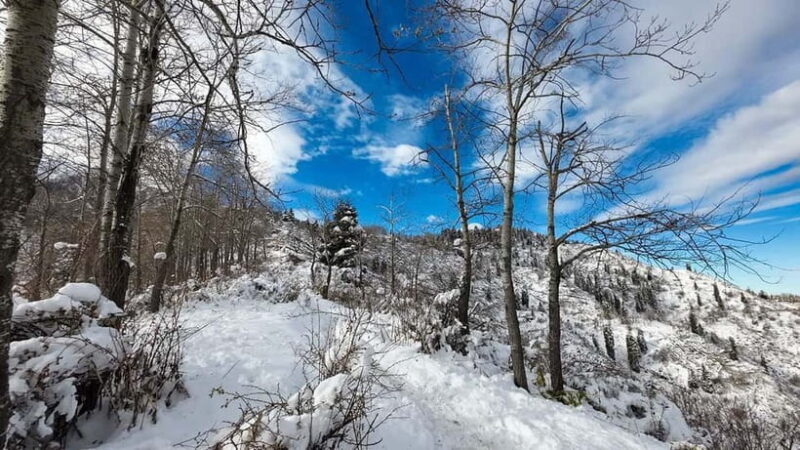 Hunns Village and Akbulak Adventure Day Tour - Key Points