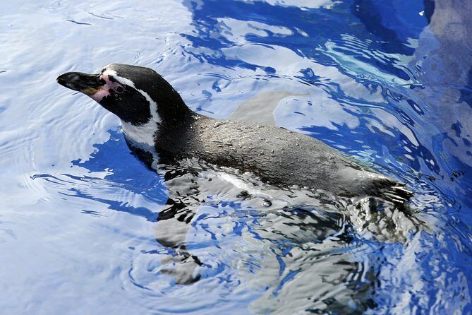 Hunstanton SEA LIFE Sanctuary General Admission Ticket - Key Points