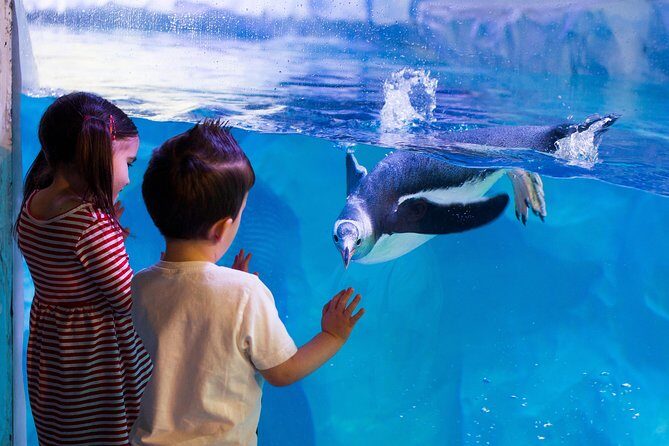 Hunstanton SEA LIFE Sanctuary General Admission Ticket - Final Thoughts on Value and Experience