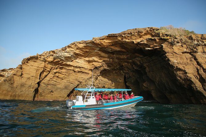 Hunter Coastal Adventure Tour by Boat from Newcastle - FAQs