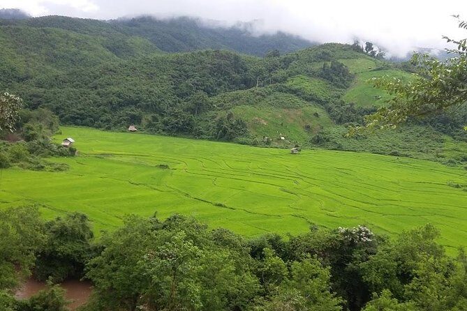 Hunter Trails, 3 days difficult trekking with Camping & Homestay - A Deep Dive Into the Laos Jungle: The Hunter Trails Experience