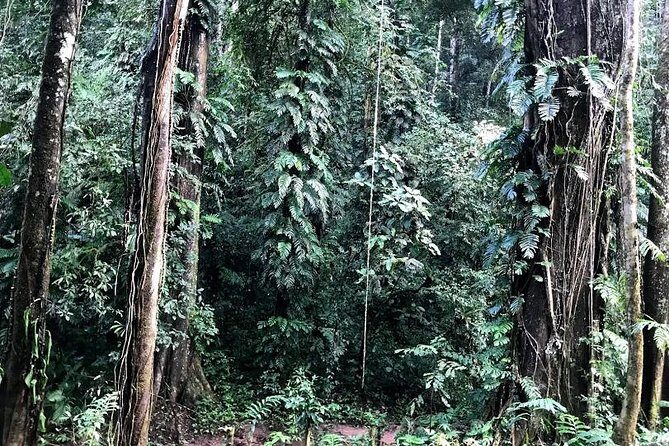 Hunter Trails, 3 days difficult trekking with Camping & Homestay - The Challenge: Is This Trek Right for You?