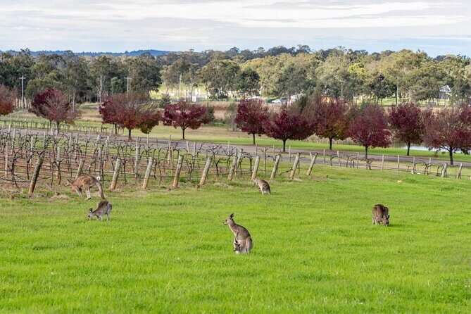 Hunter Valley All Inclusive Boutique Wine Tour from Sydney - Who Should Book This Tour?