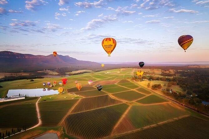 Hunter Valley Day Tour - Hunter Valley Day Tour: A Taste of Australia’s Wine Country
