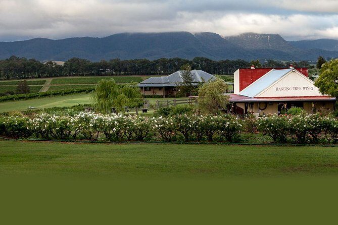 Hunter Valley Highlights Private Wine Tour from Sydney - What Could Be Better?