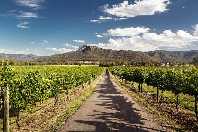 Hunter Valley Highlights Private Wine Tour from Sydney - Final Thoughts
