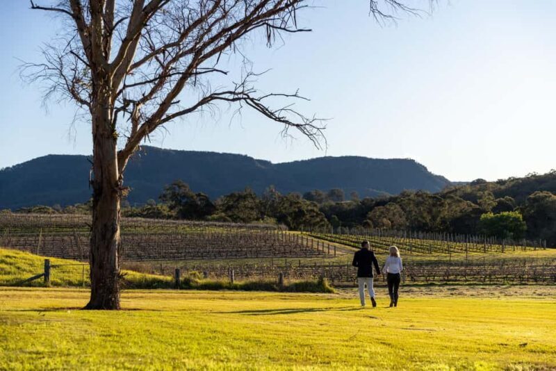Hunter Valley: Pooles Rock Premiere Wine Tasting - Final thoughts