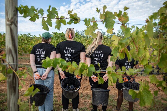 Hunter Valley Premium Tastings with Lunch - Final Thoughts: Who Is This Tour For?