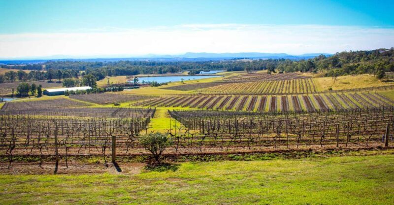 Hunter Valley: Private Day Tour from Sydney with Your Crew! - Exploring the Hunter Valley: What to Expect on Your Private Day Tour