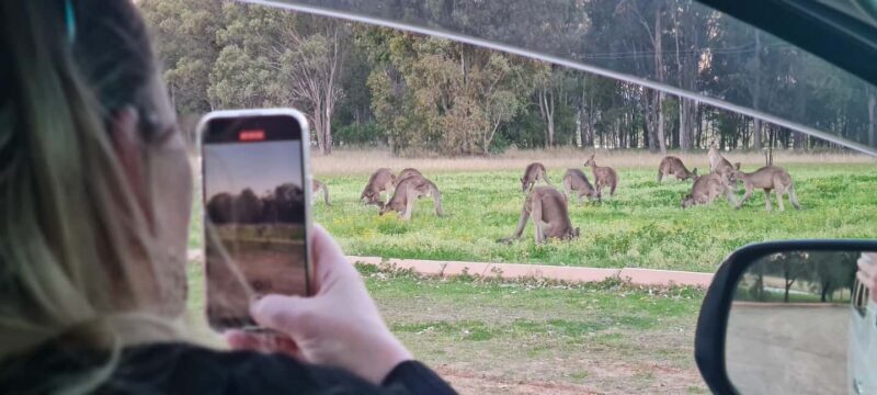 Hunter Valley: Private Wine, Cheese, and Chocolate Tour - Practical Details and What Travelers Should Know