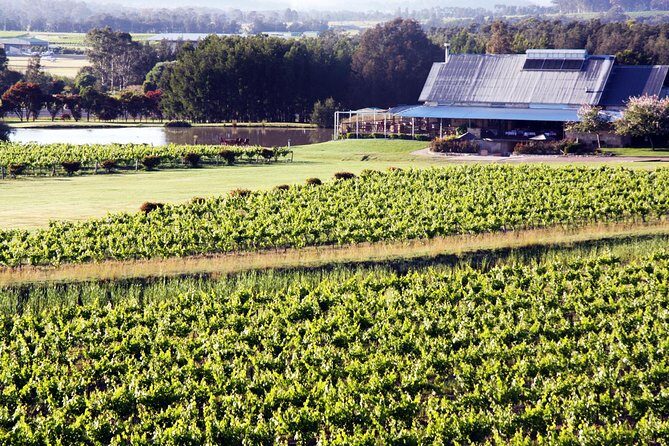 Hunter Valley Private Wine Tasting Tour from Sydney - Discover the Hunter Valley Private Wine Tasting Tour from Sydney