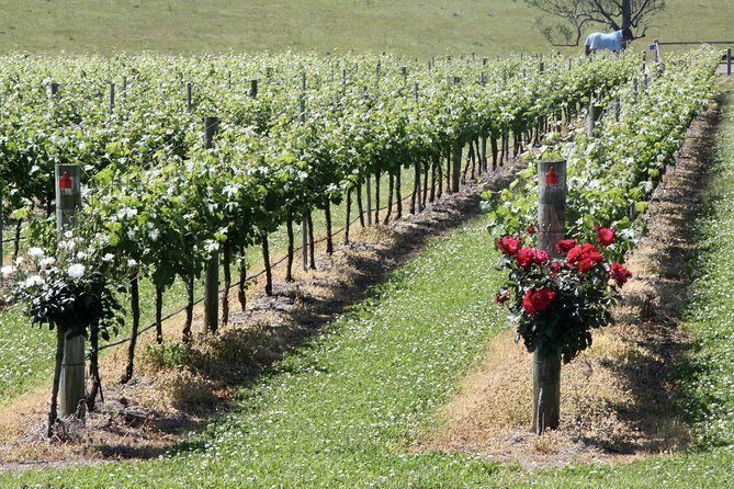 Hunter Valley Private Wine Tasting Tour from Sydney - FAQs