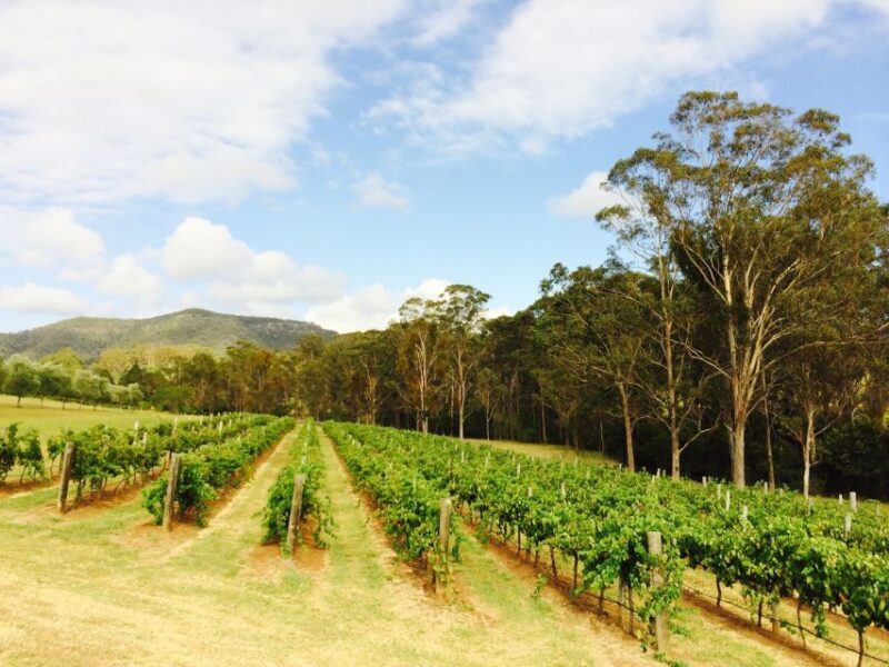 Hunter Valley: Tulloch Wines Mystery Wine & Cheese Tasting - FAQ