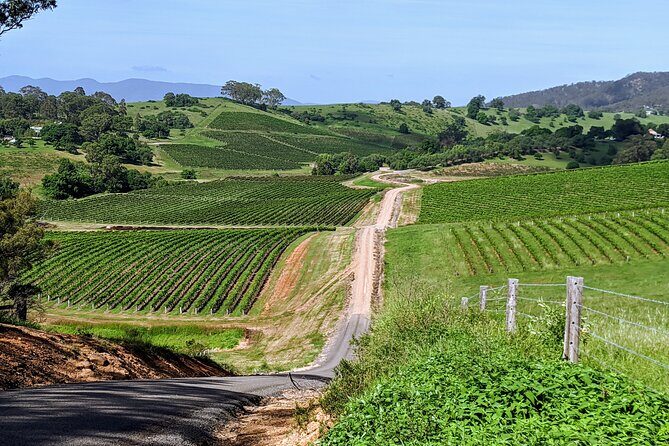 Hunter Valley wine and cheese starting from the Hunter region - Exploring the Hunter Valley with a Personal Touch