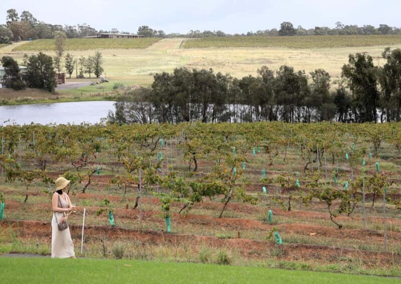 Hunter Valley: Wine, Chocolate and Lunch All Inclusive Tour - FAQs