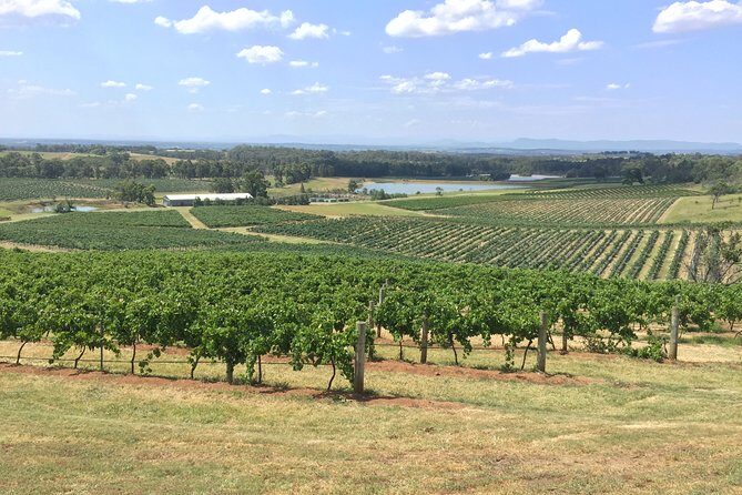 Hunter Valley Wine Tasting Private Tour From Sydney - Final Thoughts