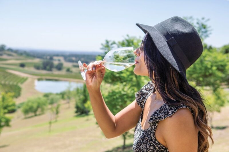 Hunter Valley: Wine Tour with 3 Tastings and Garden Lunch - A Deep Dive into the Hunter Valley Wine Tour