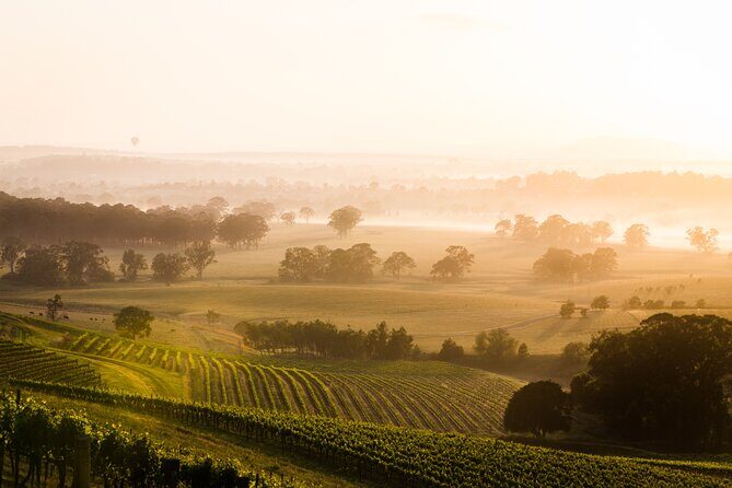 Hunter Valley Winery - Premium Tasting for Private Tours - Key Points